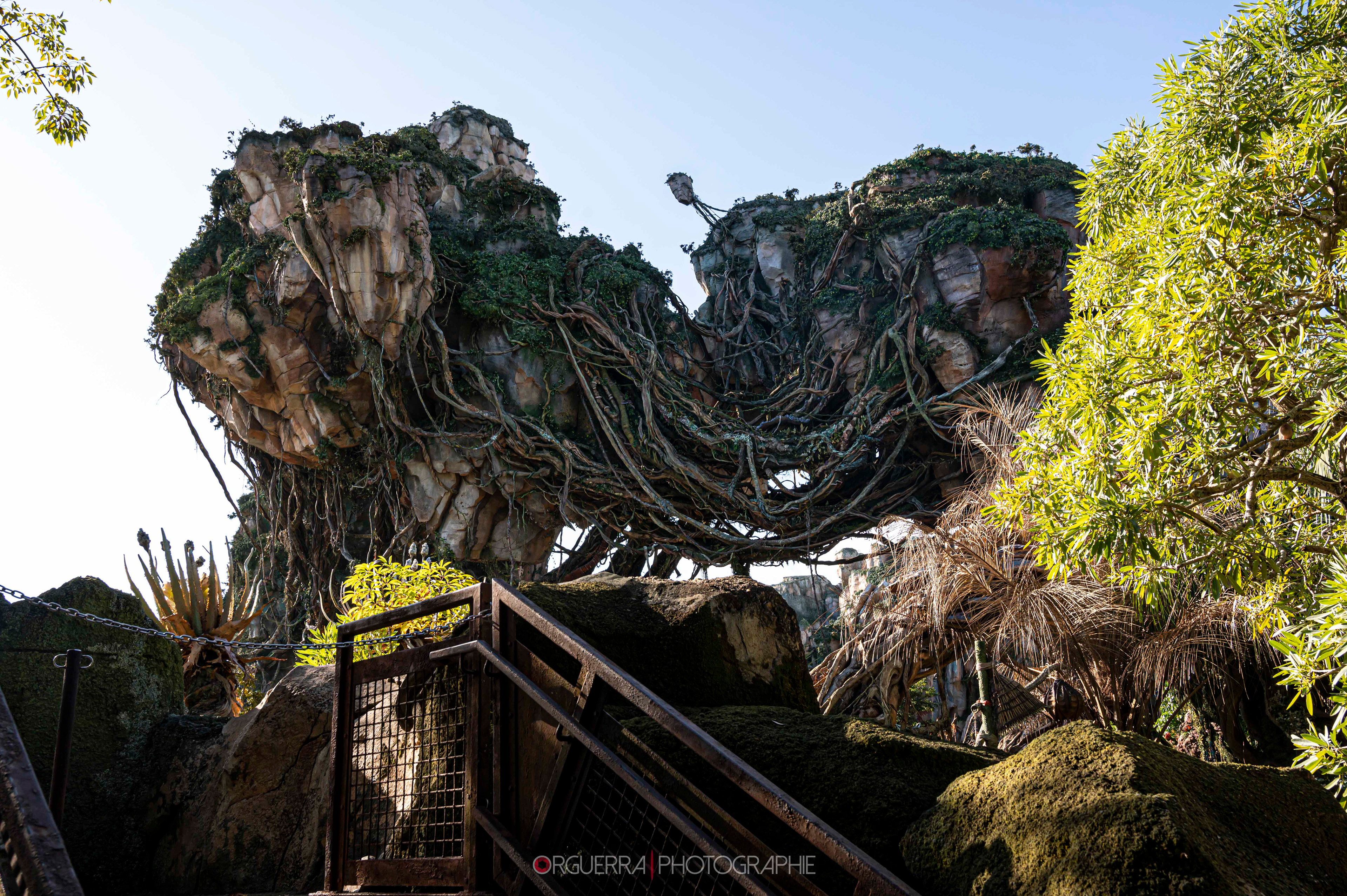 Magic Kingdom | Walt Disney World